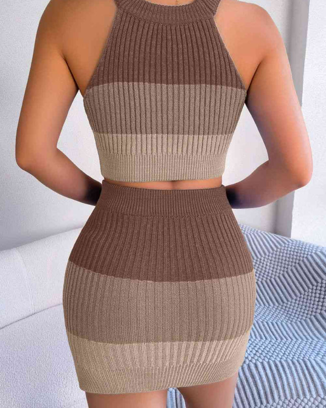 Color Block Sleeveless Crop Knit Top and Skirt Set