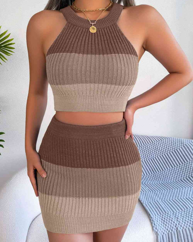 Color Block Sleeveless Crop Knit Top and Skirt Set